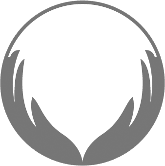 Summit Wellness Logo